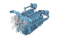 dp222lcs_2741