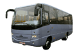 amaz-256