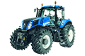 T8