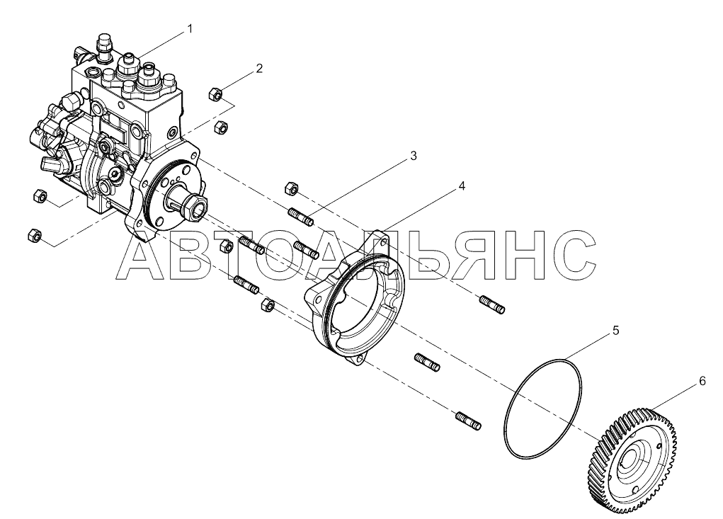 Fuel Injection Pump Group