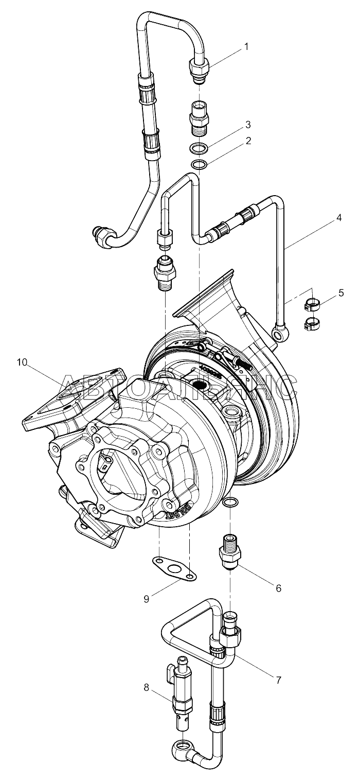 Turbo and Appendix Set (x11)