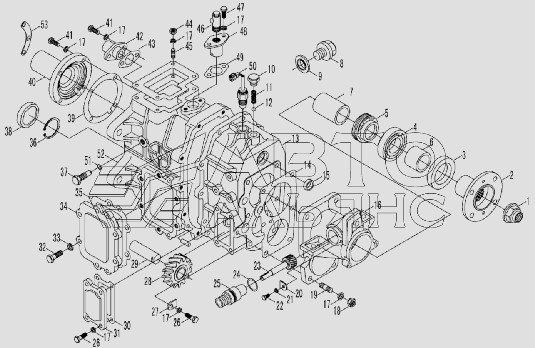 Main case shell and it’s attachment