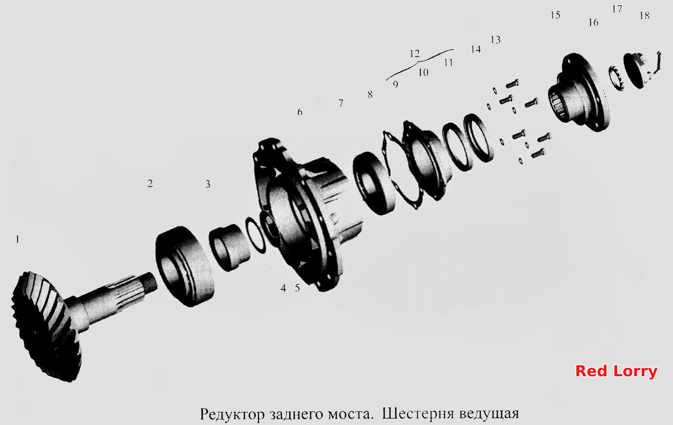 Редуктор заднего моста. Шестерня ведущая