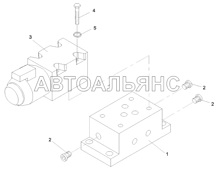 A810201020910 Pressure gauge valve group