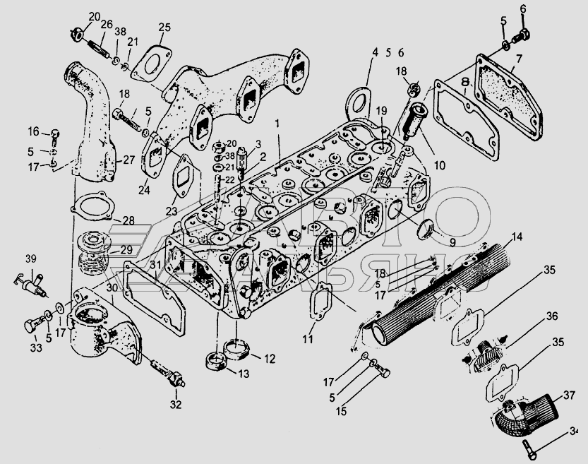 Cylinder head, thermostat, intake manifold and exhaust manifold