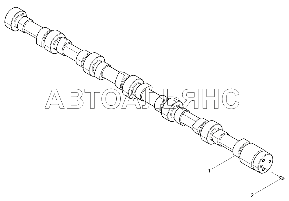 Camshaft Assembly